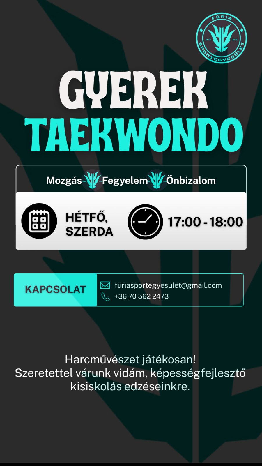 Gyerek Taekwondo Edzés szórólap